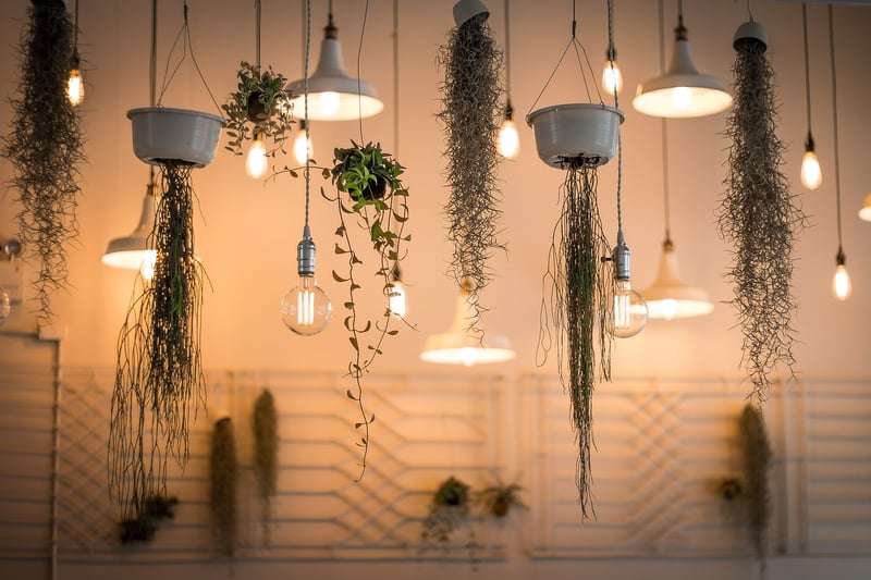 Fairy Lights